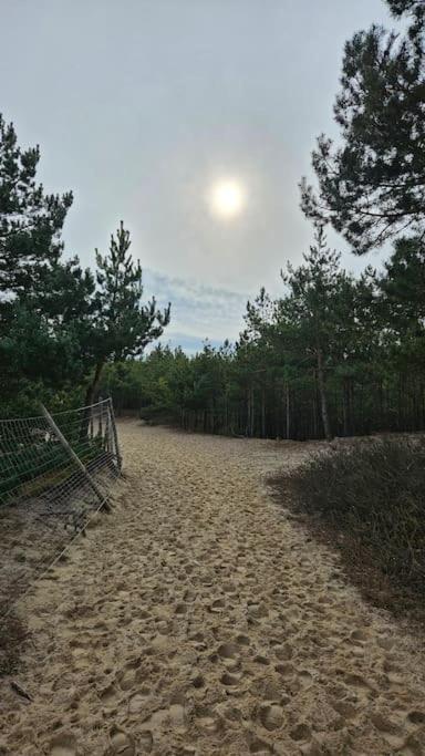 Apartament Neptun Nad Morzem Wyspa Sobieszewska *